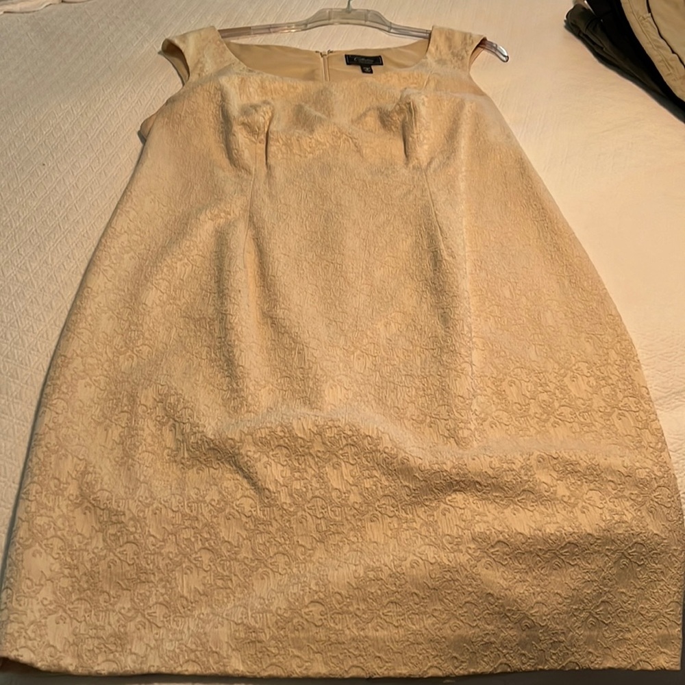 Dressbarn Collection Creamy Yellow Dress
